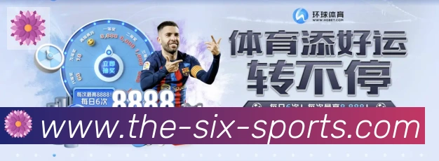 6t体育荣誉